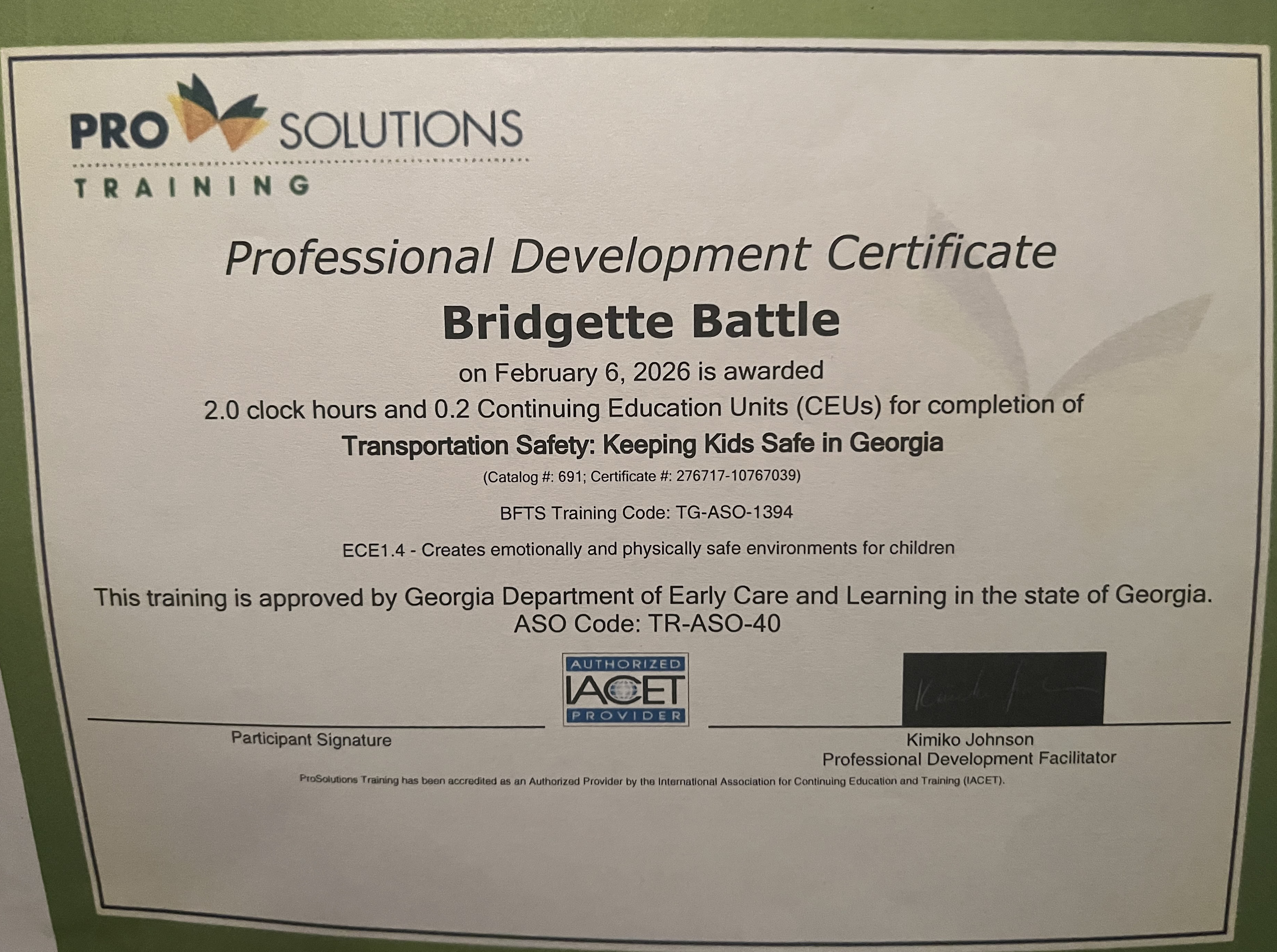 Mandated Reporter Certificate